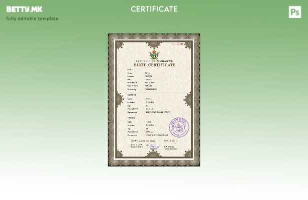 модерен стил Зимбабве шаблон за PSD извод од матична книга на родени од витално 